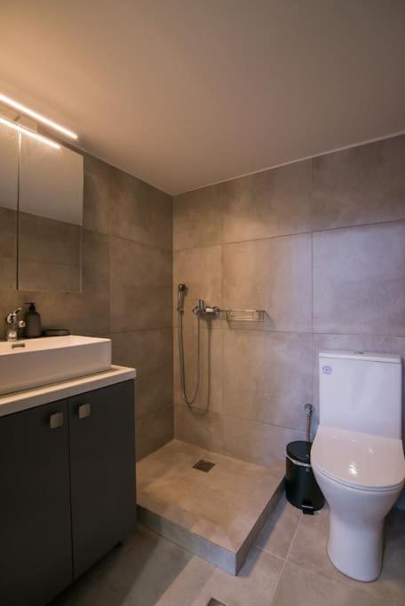Apartment Oculus Dafni Loft B *